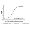 Codrituzumab (anti-GPC3), Antibody of glypican 3