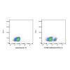 Inebilizumab (anti-CD19), BINDING AGENT of B-lymphocyte antigen CD19 binding agent