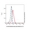 Blinatumomab (anti-CD3&CD19) - by