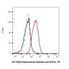 Depatuxizumab mafodotin (anti-EGFR) -    by