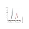 Epcoritamab (anti-CD3&CD20), Antibody of CD20 (membrane-spanning 4-domains; subfamily A; member 1);Antibody of CD3e
