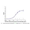 Labetuzumab govitecan (anti-CEACAM5), Antibody of CD66e (CEACAM5)