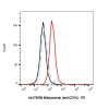 Milatuzumab (anti-CD74), Antibody of CD74