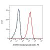 Ocrelizumab (anti-CD20), Antibody of CD20 (membrane-spanning 4-domains; subfamily A; member 1)