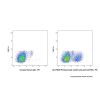 Polatuzumab vedotin-piiq (anti-CD79b), Antibody of CD79B