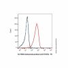 Sacituzumab govitecan (anti-TROP2), Antibody of tumor associated calcium signal transducer 2