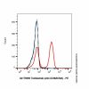 Teclistamab (anti-CD3&BCMA), BINDING AGENT of T cell surface glycoprotein CD3 binding agent