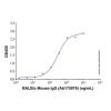 BALB/c Mouse IgG - by