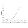 Goat Anti-Bovine IgG H&L Antibody - by