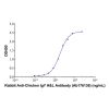 Rabbit Anti-Chicken IgY H&L Antibody - by