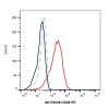 Recombinant CD30 Antibody (PE)