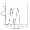Recombinant CD30 Antibody (APC)