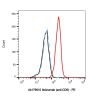 Itolizumab (anti-CD6), INHIBITOR of T-cell differentiation antigen CD6 inhibitor