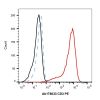 Recombinant CD3 Antibody (PE)