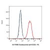 Ocaratuzumab (anti-CD20), BINDING AGENT of B-lymphocyte antigen CD20 binding agent
