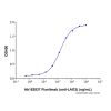 Fianlimab (anti-LAG3), INHIBITOR of Lymphocyte activation gene 3 protein inhibitor