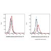 Cadonilimab (anti-PD-1&CTLA4), INHIBITOR of Programmed cell death protein 1 inhibitor