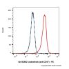 Urabrelimab (anti-CD47)