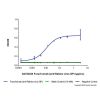 Foravirumab (anti-Rabies virus GP), INHIBITOR of Glycoprotein inhibitor