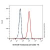 Theralizumab (anti-CD28)