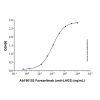 Favezelimab (anti-LAG3)