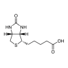 D-Biotin - Moligand™, ≥98%, CAS No. 58-85-5 by