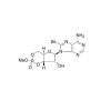 8-Bromoadenosine 3′,5′-cyclic monophosphate sodium salt - ≥99% CAS No(76939-46-3) by Aladdin Scientific