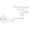 Biotin-4-fluorescein - ≥90% CAS No(1032732-74-3) by Aladdin Scientific