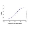 Recombinant Human FGF10 Protein - by