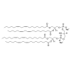 Cardiolipin (Heart, Bovine) (sodium salt)