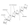 Cellulase(Carrier for starch)