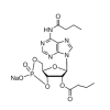 N⁶,2′-O-Dibutyryladenosine 3′,5′ -cyclic monophosphate sodium salt