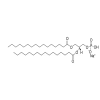 1,2-Dipalmitoyl-sn-glycero-3-phosphatidic acid sodium salt (DPPA)