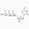 2'-Deoxythymidine 5'-triphosphate [dTTP] trisodium salt (aqueous)
