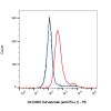 Durvalumab (anti-PD-L1), INHIBITOR of Programmed cell death 1 ligand 1 inhibitor