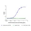 Daratumumab (anti-CD38)