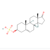 Dehydroepiandrosterone sulfate