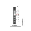 DNA Ladder (50-500bp) - BioReagent, ready-to-use, suitable for electrophoresis, Suitable for molecular biology, for NA electrophoresis, 50-500bp, 9 bands, Blue, 50bp/ 100bp/ 150bp/ 200bp/ 250bp/ 300bp/ 350bp/ 400bp/ 500bp by Aladdin Scientific