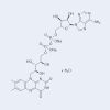 Flavin adenine dinucleotide disodium salt hydrate