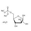 D-Fructose 6-phosphate disodium salt hydrate - ≥95% CAS No(26177-86-6) by Aladdin Scientific