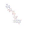 Flavin Adenine Dinucleotide(FAD)