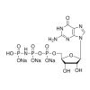 Guanosine 5′-[β,γ-imido]triphosphate trisodium salt hydrate - ≥85% CAS No(148892-91-5) by Aladdin Scientific