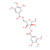 Hamamelitannin - ≥98% CAS No(469-32-9) by Aladdin Scientific