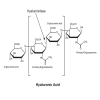 Hyaluronidase from bovine testes