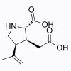 Kainic acid, Agonist of GluK1;Agonist of GluK2;Agonist of GluK3;Agonist of GluK4;Agonist of GluK5