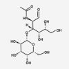 Lacto-N-Biose