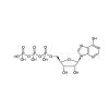 6-Mercaptopurine-riboside-5'-triphosphate (aqueous solution)