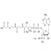 Malonyl coenzyme A lithium salt
