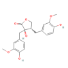 Nortrachelogenin