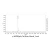 Native Rat Serum Albumin Protein -    by Aladdin Scientific